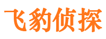 安达寻人公司